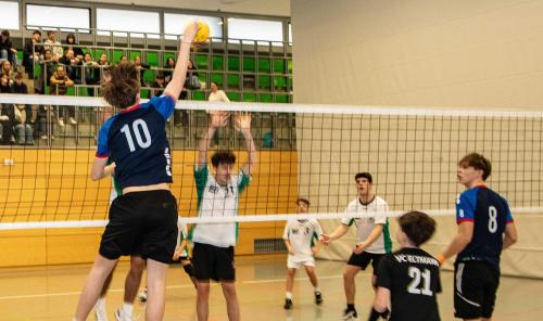 Bezirksfinale Volleyball 2025