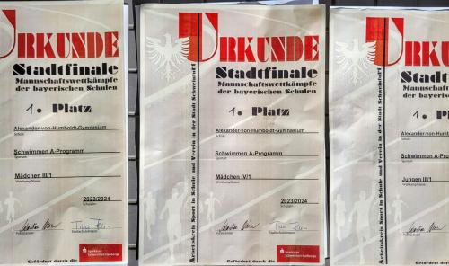 Schulmannschaft Schwimmen Stadtfinalefinale